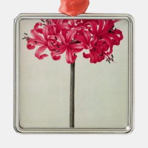 Amaryllis Sarniensis of Narcissus Metalen Ornament