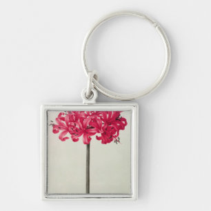 Amaryllis Sarniensis of Narcissus Sleutelhanger