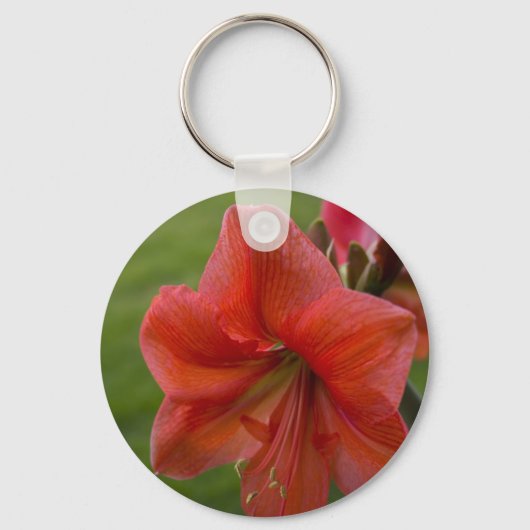 Amaryllis Sleutelhanger (Voorkant)
