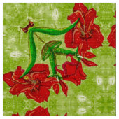 Amaryllis Stof 1 (Close Up)