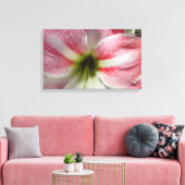 Amaryllis Stretched Canvas Print (Insitu (Woonkamer))