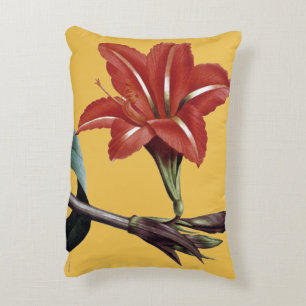 Amaryllis Striped Accent Kussen