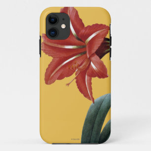Amaryllis Striped iPhone 11 Hoesje
