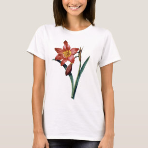 Amaryllis T-shirt
