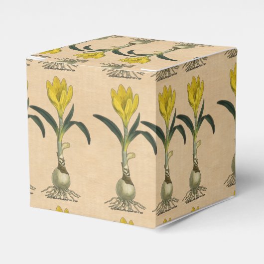 Amaryllis Tulip Botanische tuinklep Bedankdoosjes (Voorkant Zijde)