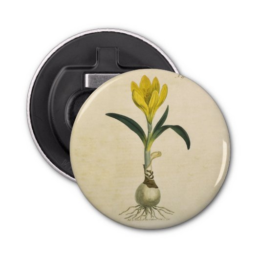 Amaryllis Tulip Botanische tuinklep Button Flesopener (Voorkant)