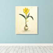 Amaryllis Tulip Botanische tuinklep Canvas Afdruk (Insitu (Houten vloer))