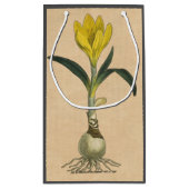 Amaryllis Tulip Botanische tuinklep Klein Cadeauzakje (Achterkant)