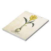 Amaryllis Tulip Botanische tuinklep Notitieblok (Gedraaid)