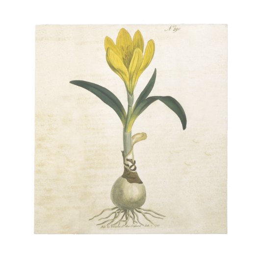 Amaryllis Tulip Botanische tuinklep Notitieblok (Voorkant)