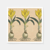Amaryllis Tulip Botanische tuinklep Servetten (Voorkant)