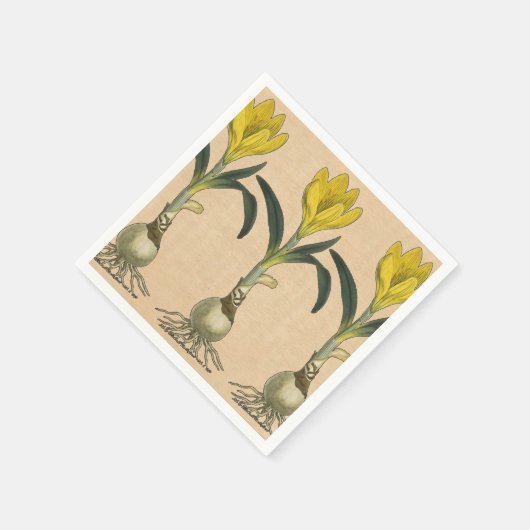 Amaryllis Tulip Botanische tuinklep Servetten (Hoek)