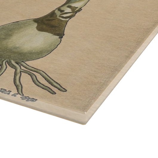 Amaryllis Tulip Botanische tuinklep Snijplank (Hoek)