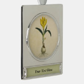 Amaryllis Tulip Botanische tuinklep Verzilverd Banner Ornament (Rechts)