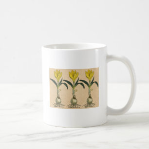 Amaryllis Tulp Botanische Tuin Bloem Koffiemok