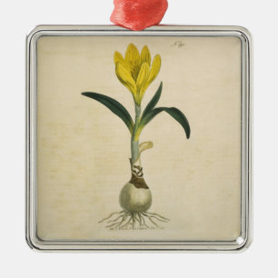 Amaryllis Tulp Botanische Tuin Bloem Metalen Ornament