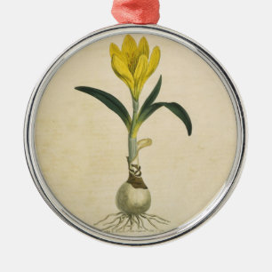 Amaryllis Tulp Botanische Tuin Bloem Metalen Ornament