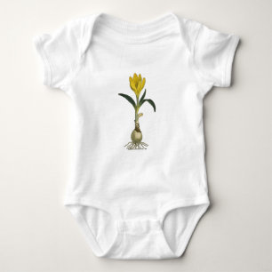 Amaryllis Tulp Botanische Tuin Bloem Romper