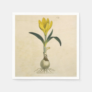 Amaryllis Tulp Botanische Tuin Bloem Servetten