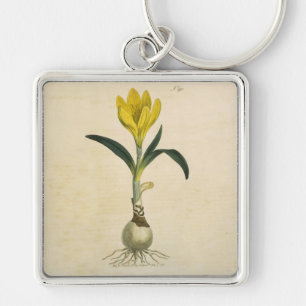 Amaryllis Tulp Botanische Tuin Bloem Sleutelhanger