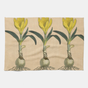 Amaryllis Tulp Botanische Tuin Bloem Theedoek
