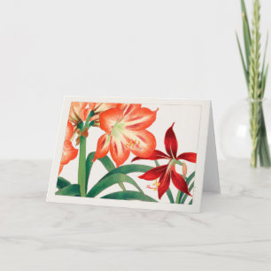 Amaryllis van Tanigami Konan Kaart