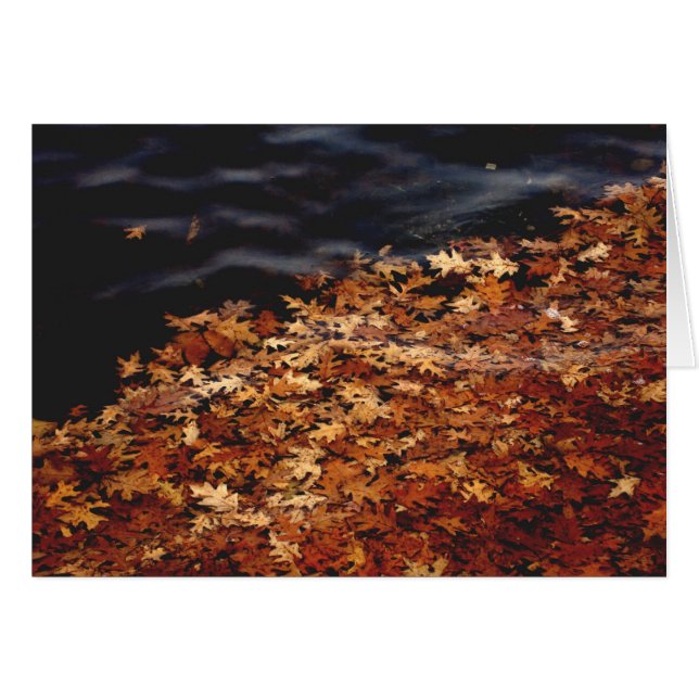 Amass (Devant Horizontal)