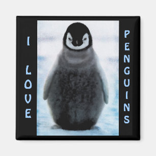 Amateur de pingouins et de pingouins Magnet d'art