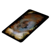 Amateur de renard - Magnet d'art faunique (Côté Gauche)