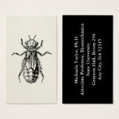 Amateur d'insecte de la nymphe des libellules (Devant & derrière)