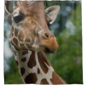 Amateurs de girafe Rideau de douche d'art (Devant)