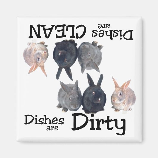 Amateurs de lapin Lave-vaisselle Magnet (Devant)