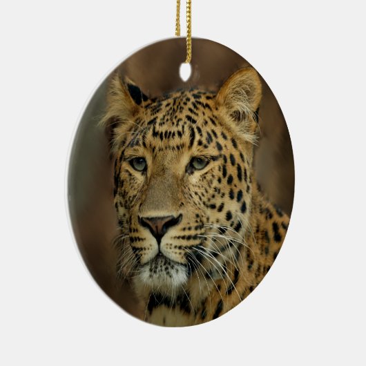 Amateurs de léopard Ornement d'arbre de Noël (Droite)