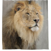Amateurs de lion Faune Douche Rideau (Devant)