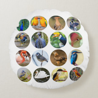 Amateurs d'oiseaux Coussin ronde