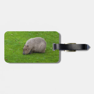 Amazing Animal Capybara Bagagelabel