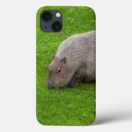 Amazing Animal Capybara iPhone 13 Hoesje