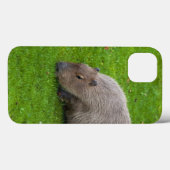 Amazing Animal Capybara Case-Mate iPhone Case (Achterkant (horizontaal))