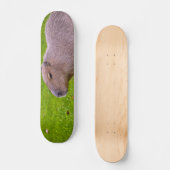Amazing Animal Capybara Skateboard (Voorkant)