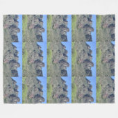 Amazing Apache Trail Fleece Deken (Voorkant (Horizontaal))