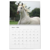Amazing Arabians - een kalender van 2019 (Mar 2026)