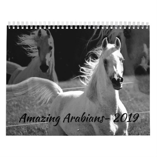 Amazing Arabians - een kalender van 2019 (Hoes)