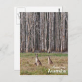 Amazing Australia briefkaart (Voorkant / Achterkant)