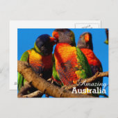 Amazing Australia briefkaart (Voorkant / Achterkant)