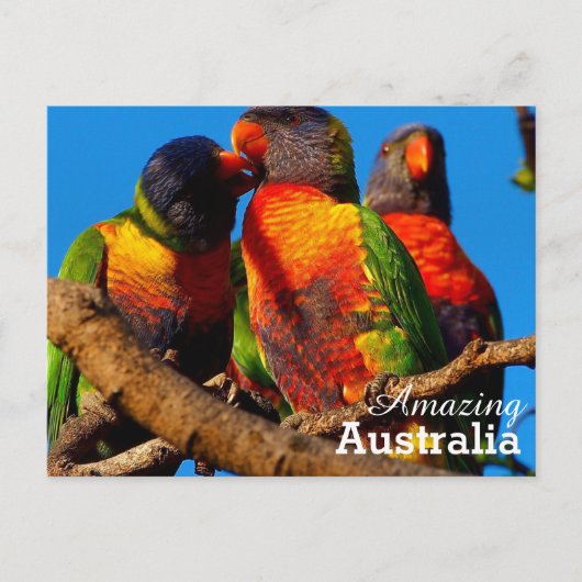 Amazing Australia briefkaart (Voorkant)