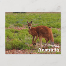 Amazing Australia briefkaart