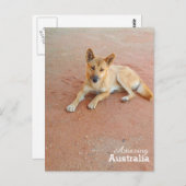 Amazing Australia briefkaart (Voorkant / Achterkant)