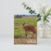 Amazing Australia briefkaart (Staand voorkant)