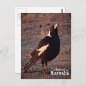 Amazing Australia briefkaart (Voorkant / Achterkant)