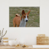 Amazing Basenji Dog Poster (Keuken)